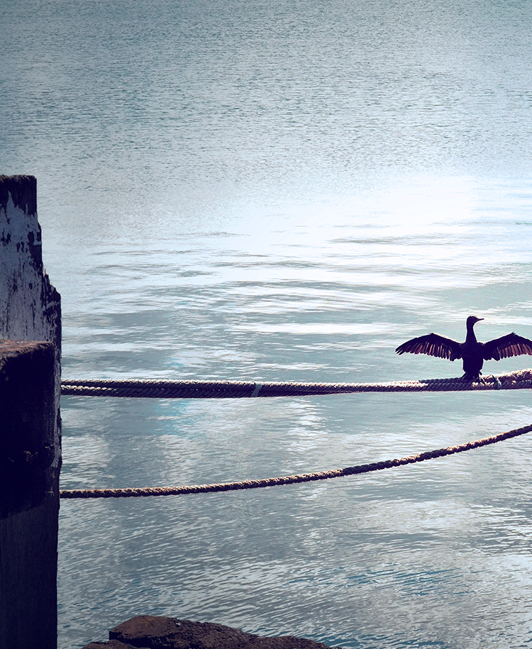 Boothbay Blue Example