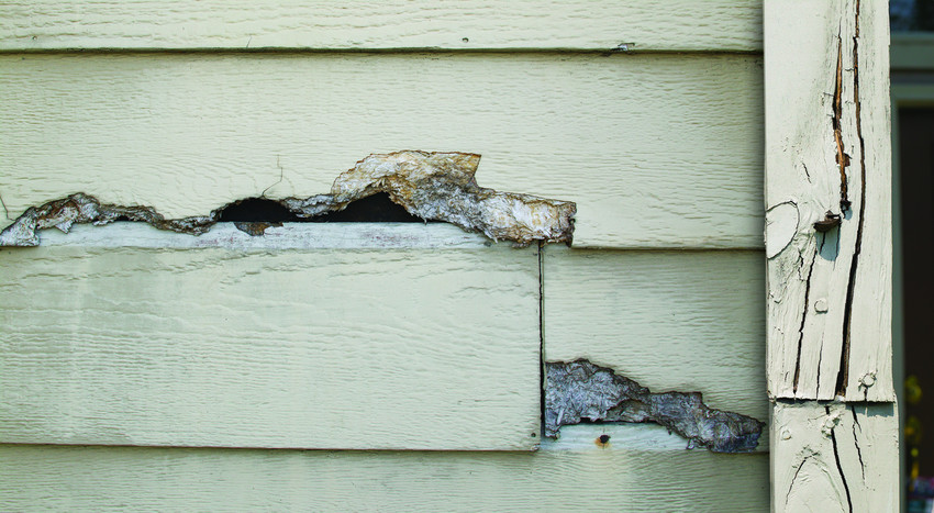 Rotting Wood Siding